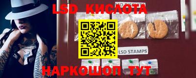 PSILOCYBIN Заволжье