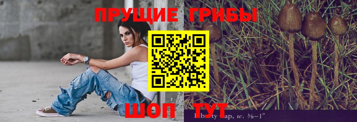 Галлюциногенные грибы Cubensis Кропоткин